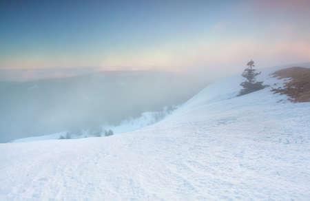 serene winter sunrise on top of Feldberg mountain, Germanyの写真素材
