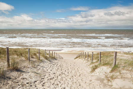 sand path to sea beach in sunny day, Netherlandsの写真素材