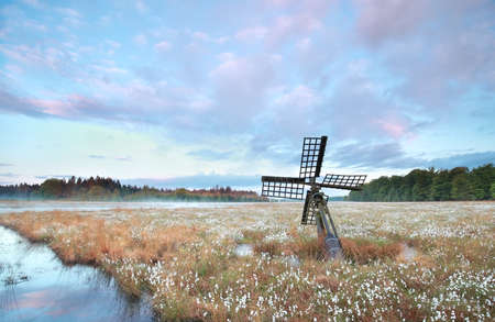 old wooden windmill on swamp with cotton grass at sunrise, Drenthe, Netherlands