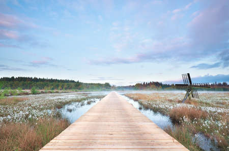 wooden path on swamp at misty sunrise, Drenthe, Netherlandsの写真素材