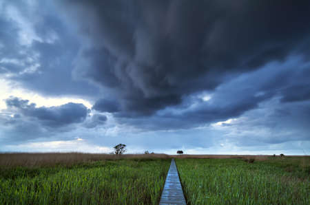 wooden path on swamp to observation tower, Nieuwe Statenzijl, Netherlandsの写真素材