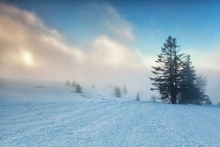 foggy sunrise on winter mountaintop, Feldberg, Germanyの写真素材