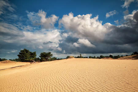 beautiful cloudy sky and sand dune in summer