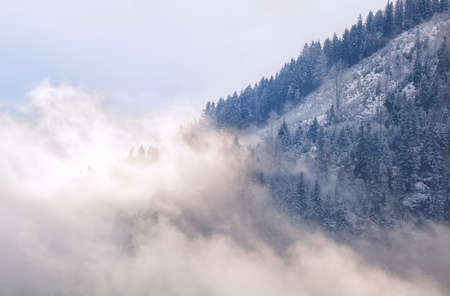 mountain in morning fog, Alps, Germanyの写真素材