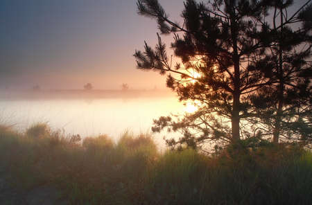 beautiful misty sunrise on wild lakeの写真素材