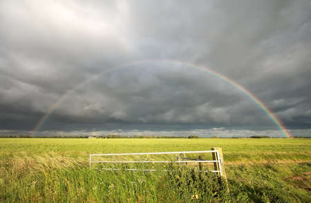 big rainbow over green meadow in summerの写真素材