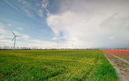 green grass field and windmills over blue sky