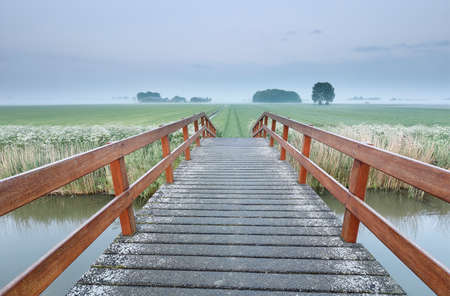 wooden bridge via river in summer morningの写真素材