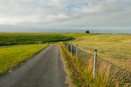 countryside road between green hills in summerの写真素材