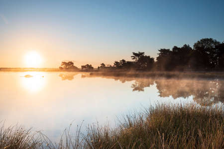 beautiful misty sunrise over forest lakeの写真素材