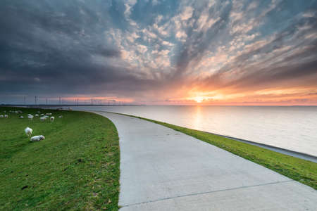 sunset over Wadden sea coast in summerの写真素材