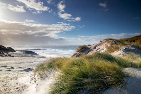beautiful view on beash and sea from dunes, Holland