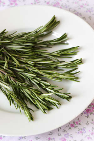 Rosemary herb in a white plateの写真素材