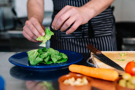 detail of the hands of a young chief man, preparing a salad dish in a professional kitchen.の写真素材