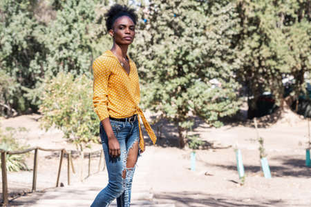 portrait of beautiful young black woman with yellow shirt and sunglasses observing nature in a park, concept of nature, social distancing and portraitの写真素材