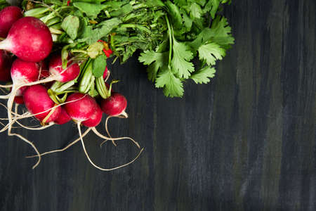 healthy and organic radishes, grouped above the image on a white cloth on a dark table, concept of fitness-food, vegan-food, vegetarian-food, dark foodの写真素材