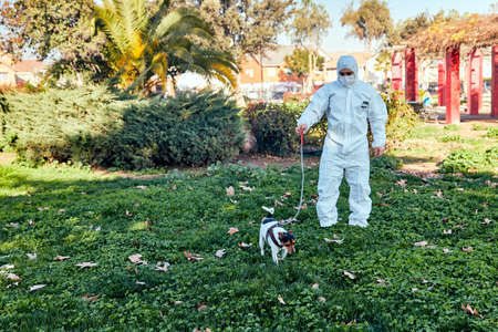 young man with safety mask and surgical suit in the park walking his chilean fox terrier dog in the middle of the covid 19 pandemic, dog lover conceptの写真素材