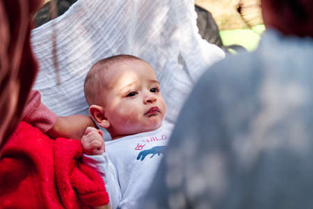 portrait of a newborn in the middle of his family, concept of a baby in natureの写真素材