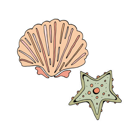 Starfish and shell green and pink. Vector object on white background. Retro style. Vintage. In isolation. Hand drawing. The nature of the ocean.のイラスト素材