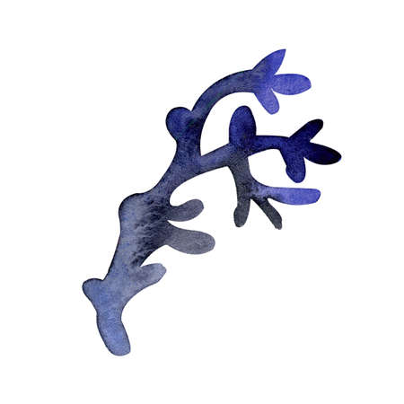 Forest grass in watercolor isolated on white background. Elements - grass, wild moss, forest grass, branches. illustration. Fairy forest in a cute style. Decorative beauty and elegant illustrationの写真素材