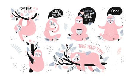 Collection of funny sloths in different postures. Lazy exotic animal sleeping, napping, relaxing on tropical tree branch, meditates and drinks coffee. Cute cartoon character doing daily things のイラスト素材
