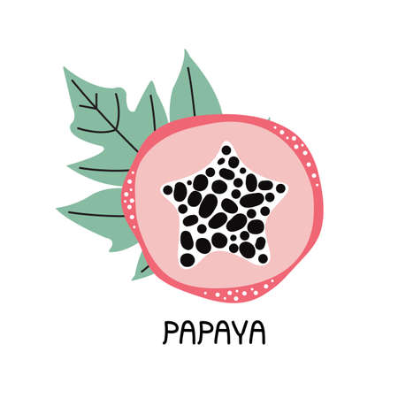 Hand drawn piece of sweet pink papaya with leaves. Tropical fresh fruit with pulp and seeds. Vegetarian healthy organic food. Lettering phrase papaya. Vector flat illustrations in Scandinavian styleのイラスト素材