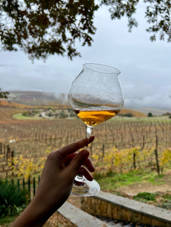 Hand holding a glass for fragrant white wines of wine