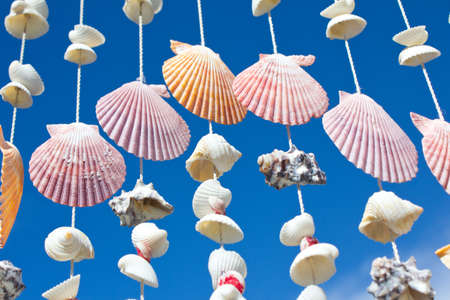 Mobile Shell sky backgroundの写真素材