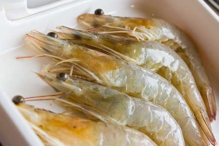 Fresh shrimp on a trayの写真素材