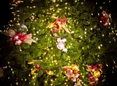 Christmas tree detail backgroundの写真素材