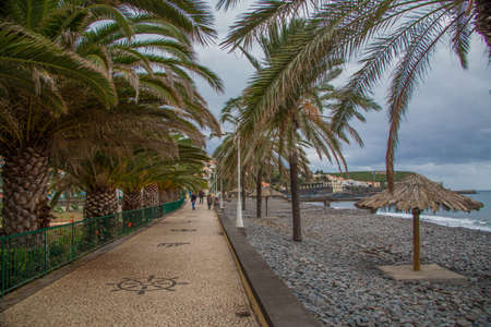 Stone path along the ocean near a rocky beach with umbrellas and palm trees on Madeira island, Portugalの写真素材