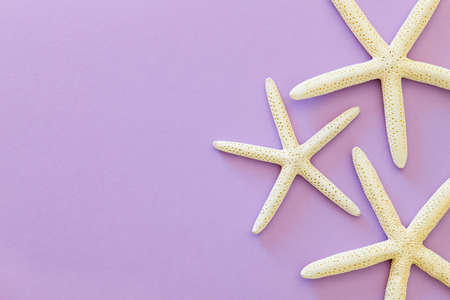 Three starfish on a purple background.