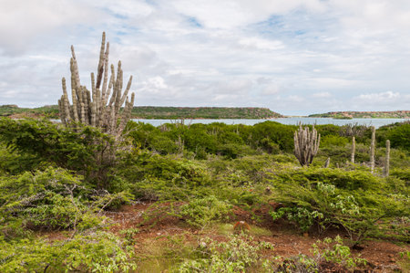 Panoramic view of the St. Joris Bay on the caribbean island Curacao.の写真素材
