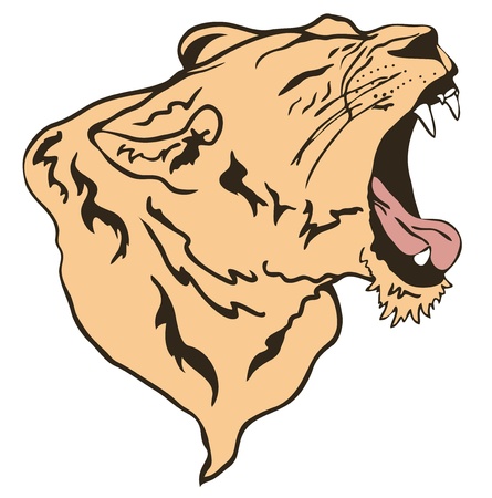 growling lion vector illustrationのイラスト素材