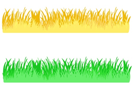 vector grass with seasonal changesのイラスト素材