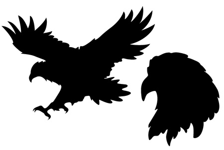 eagle silhouettes のイラスト素材