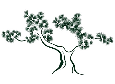 pine tree vector illustrationのイラスト素材