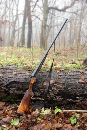 hunting gun in the autumn forestの写真素材