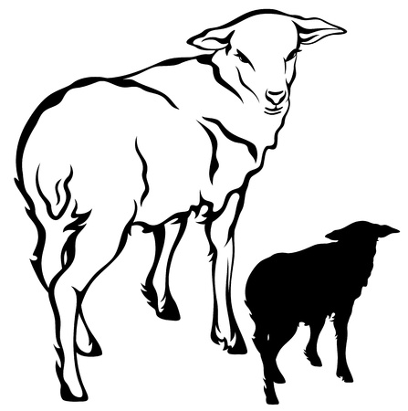 cute little lamb vector illustration - black outline against whiteのイラスト素材