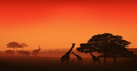 african wildlife editable illustration - savannah at sunsetのイラスト素材