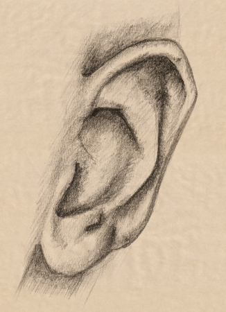 human ear pencil drawing - fine graphite outline over beigeの写真素材