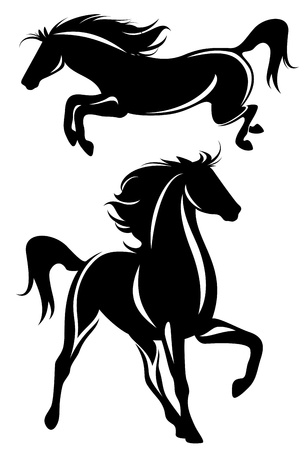 beautiful horses black and white design - detailed vector outlineのイラスト素材