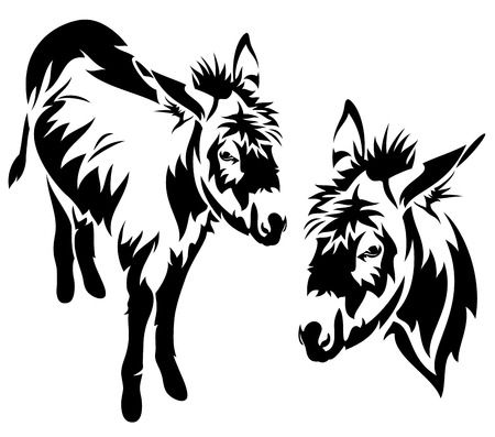 	cute donkey vector outline - black and white standing animalのイラスト素材