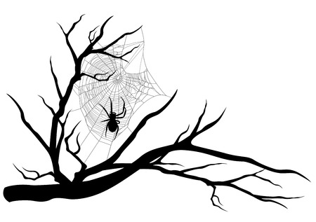 spider web on tree branch - Halloween theme black silhouetteのイラスト素材