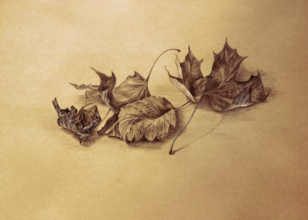 dry autumn leaves pencil drawing with paper texture - sepia toned fall season backgroundの写真素材