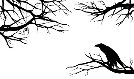 Spooky raven bird among bare tree branches with spiderのイラスト素材