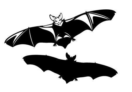 evil vampire bat with spread wings - halloween monster black and white vector outline and silhouetteのイラスト素材