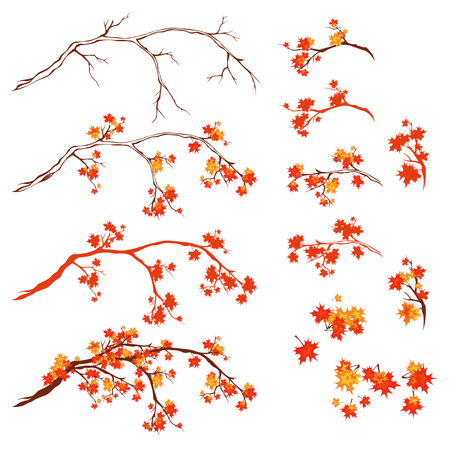 autumn season maple tree branches - bright fall season vector design setのイラスト素材