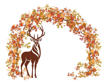 wild deer stag standing in natural arch of autumn tree branches - fall season wildlife copy space vector backgroundのイラスト素材