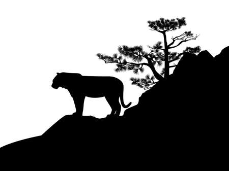wild tiger standing on pine tree covered rock cliff - black and white vector silhouette sceneのイラスト素材